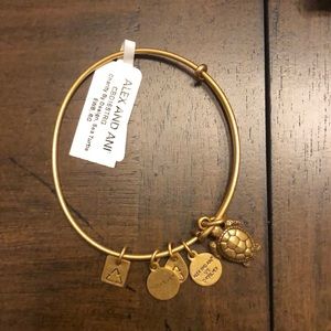 Alex and Ani turtle bracelet